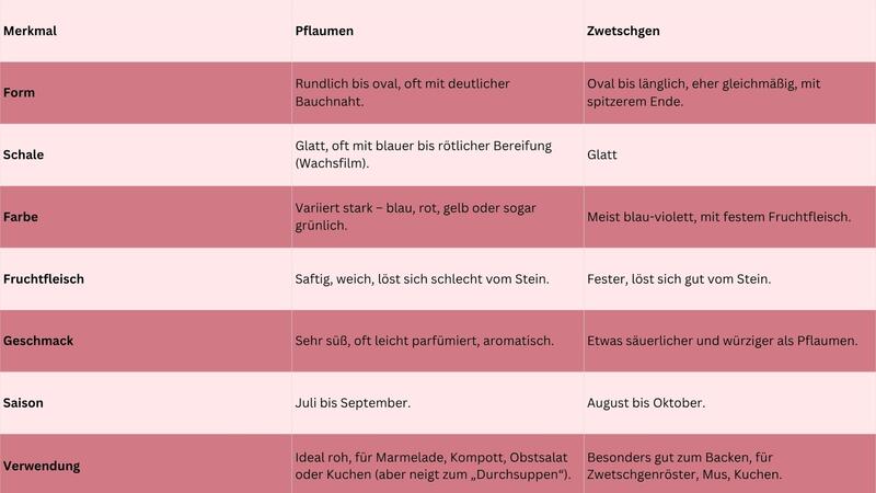 Unterschiede Pflaume Zwetschge Tabelle