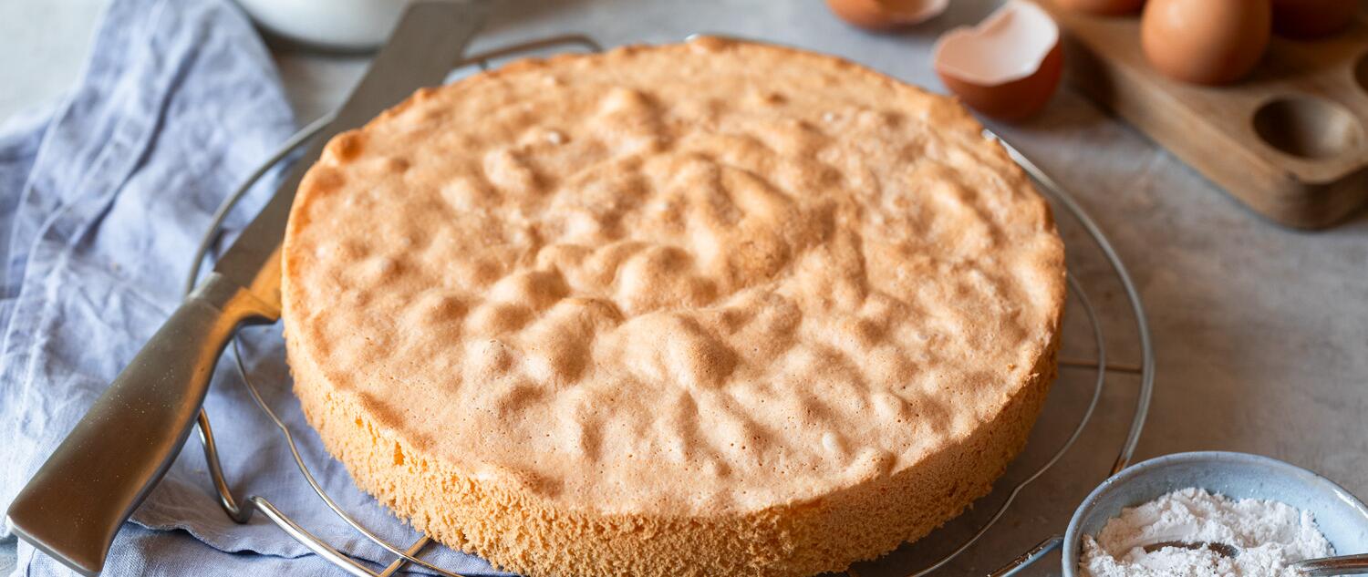 Der beste Biskuitboden mit dem Thermomix® 🍰
