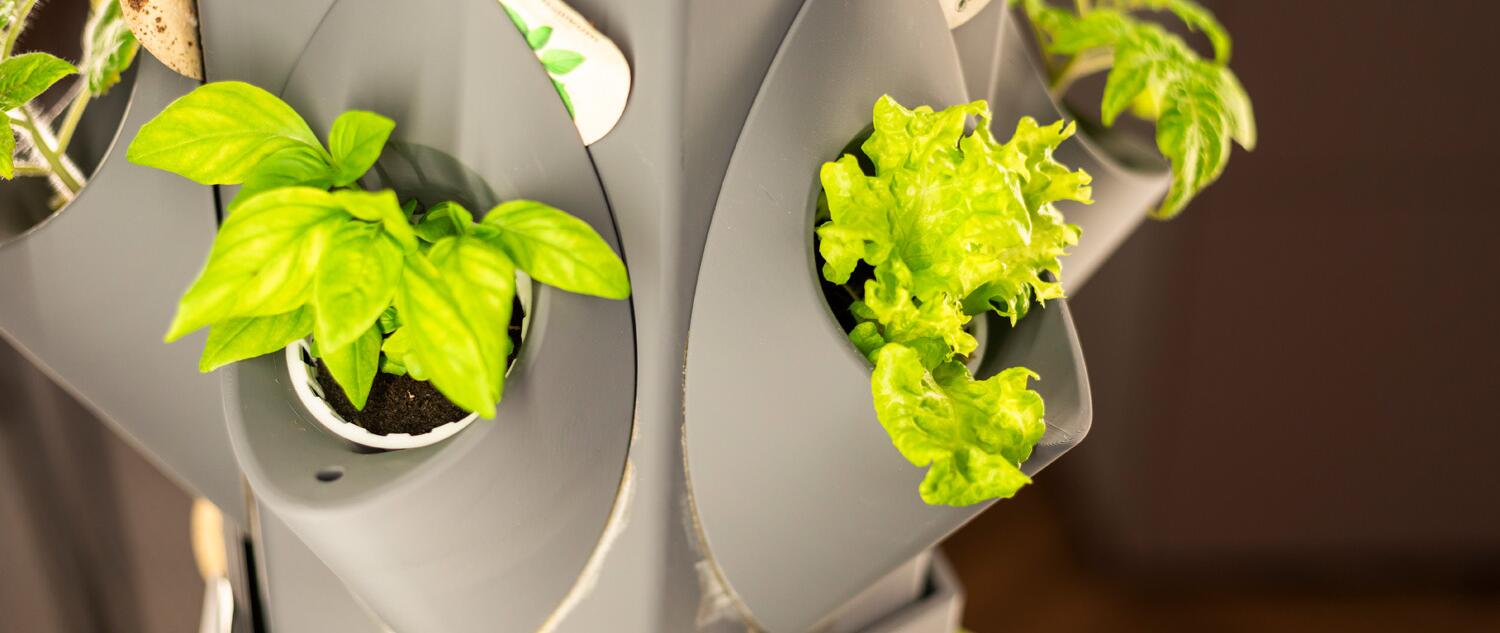 So bringt der Greeny Nachhaltigkeit in dein Leben! 🌱