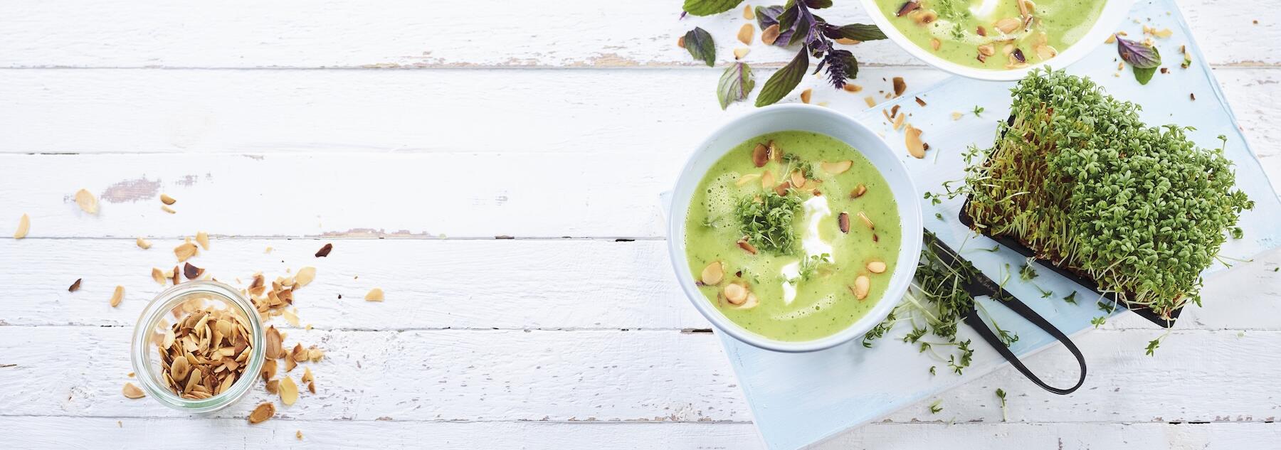 Die besten Frühlingskräuter 🌱