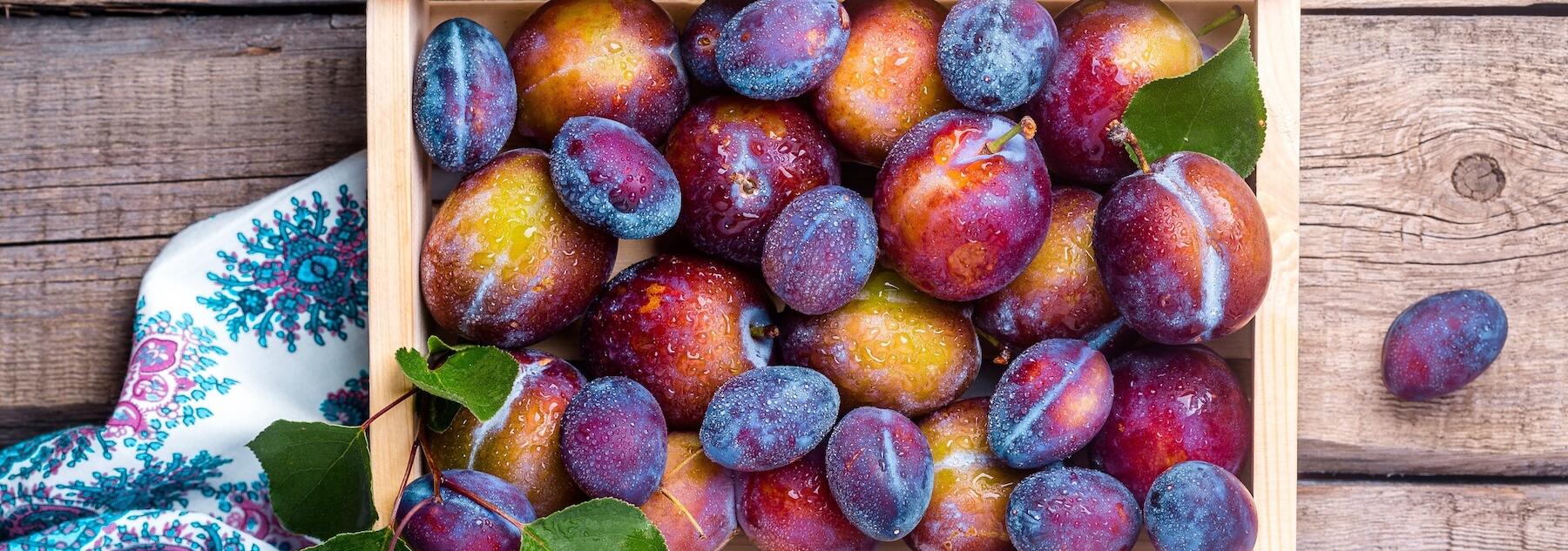Zwetschge oder Pflaume? – das ist der Unterschied 💡
