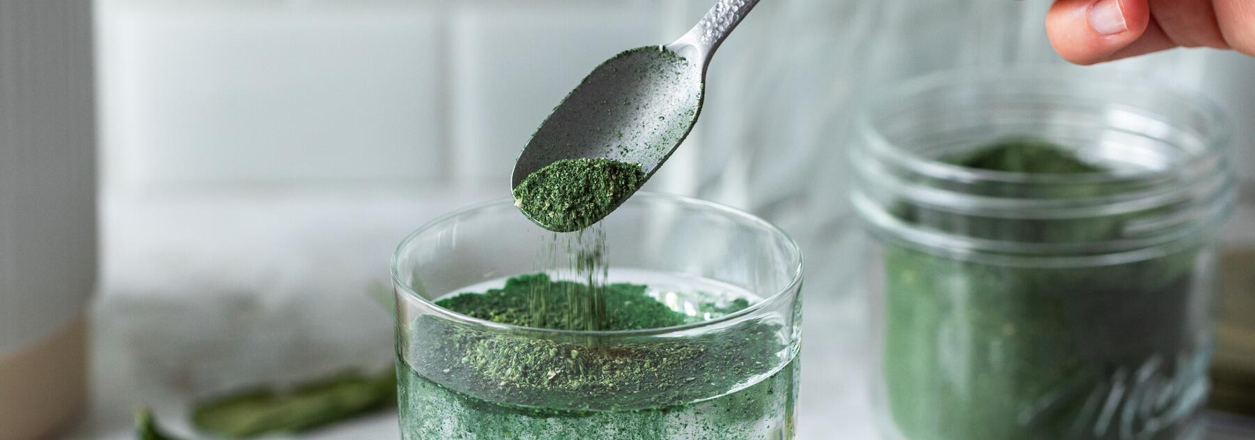 Immun-Pulver selber machen mit Thermomix®