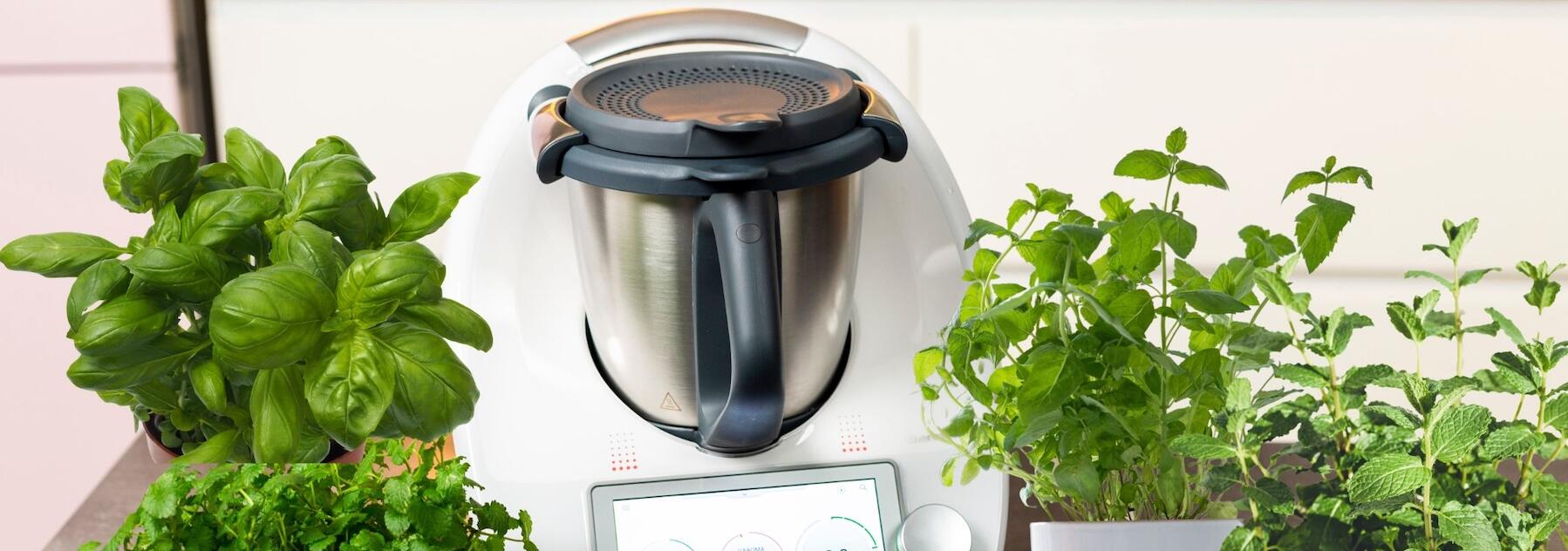 Die wichtigsten Kräuter für dich und deinen Thermomix® 🌱