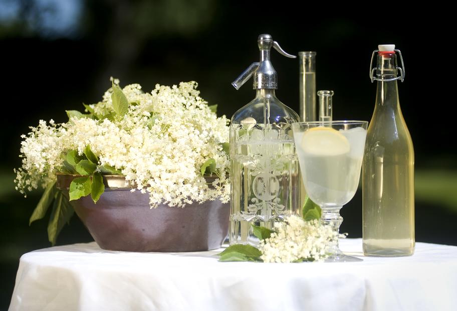 Spritziger Hugo mit Prosecco