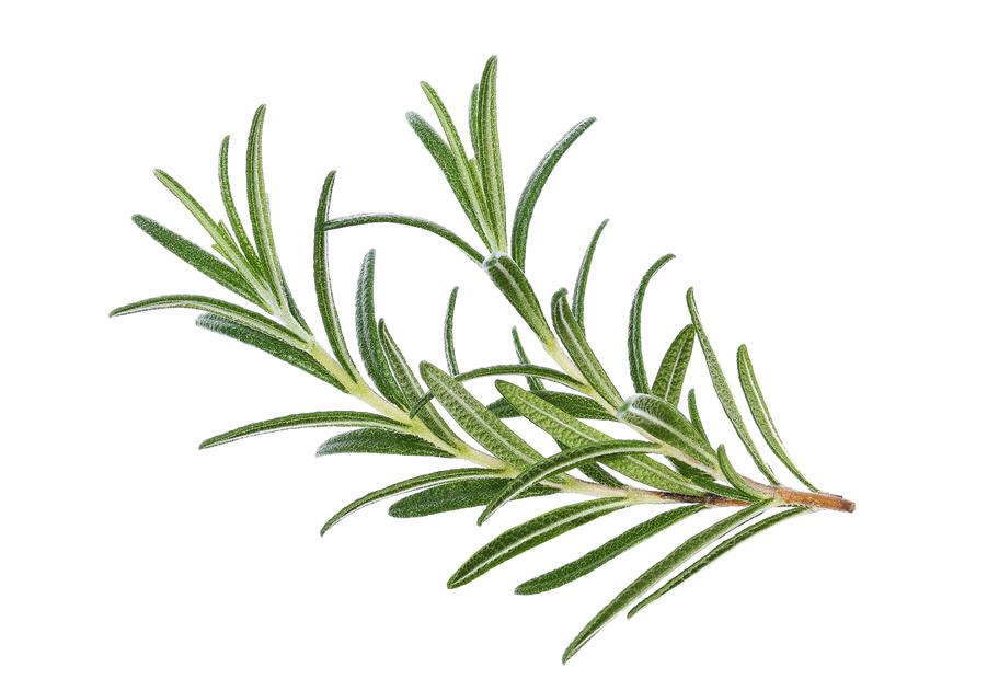 Rosmarin-Zucker für deine Desserts