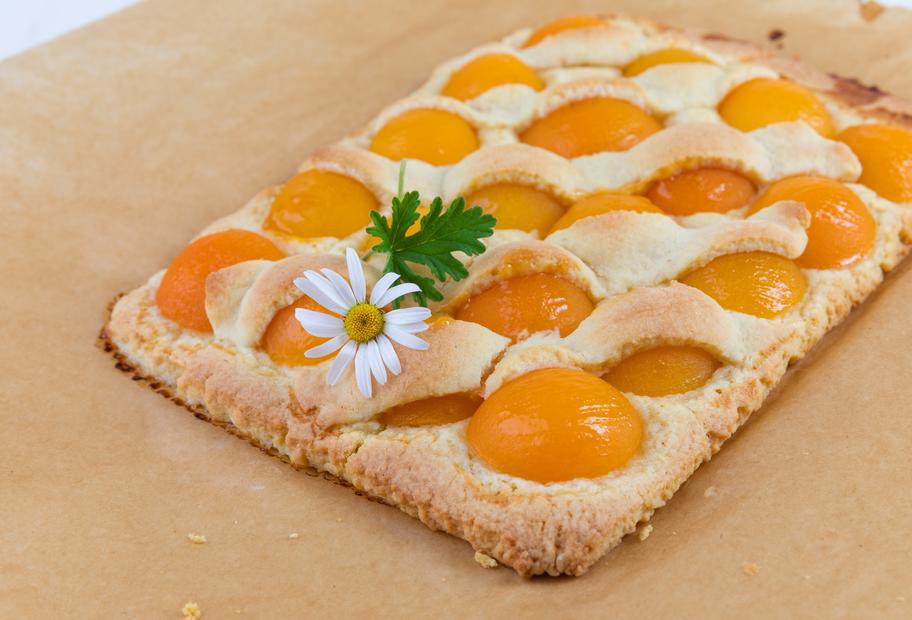 Gitterkuchen mit Marillen
