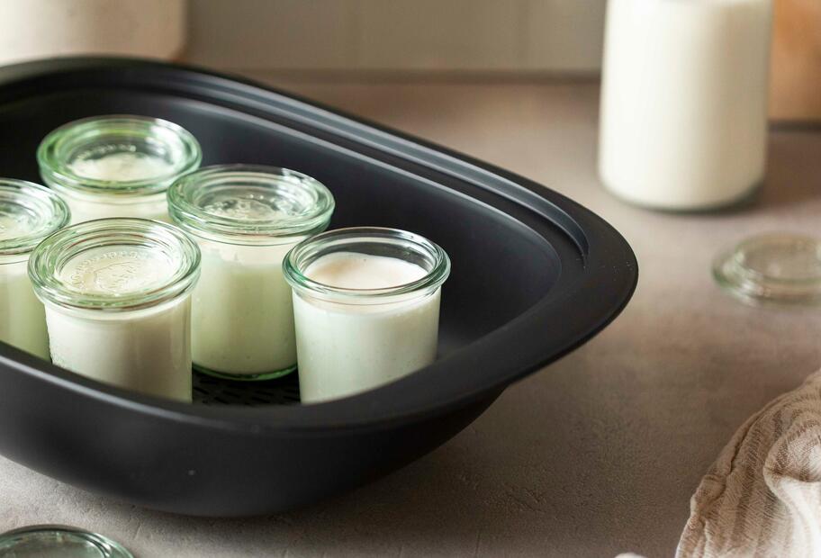 Naturjoghurt selber machen