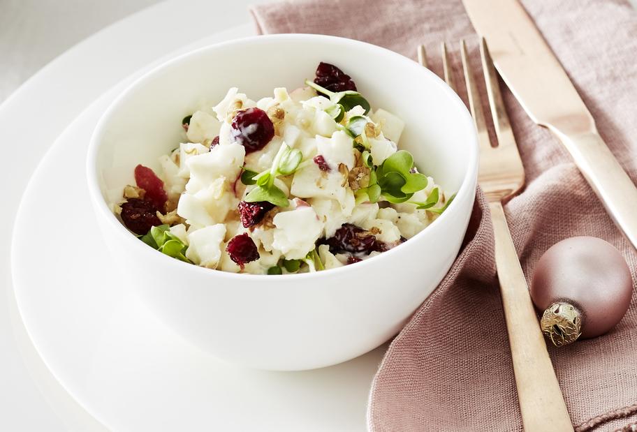 Waldorfsalat mit Cranberrys
