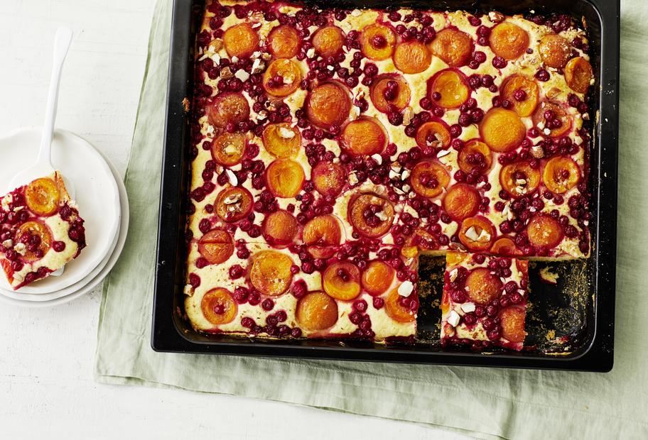 Aprikosen-Johannisbeer-Kuchen mit Quark