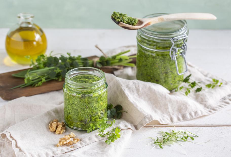 Wildkräuterpesto