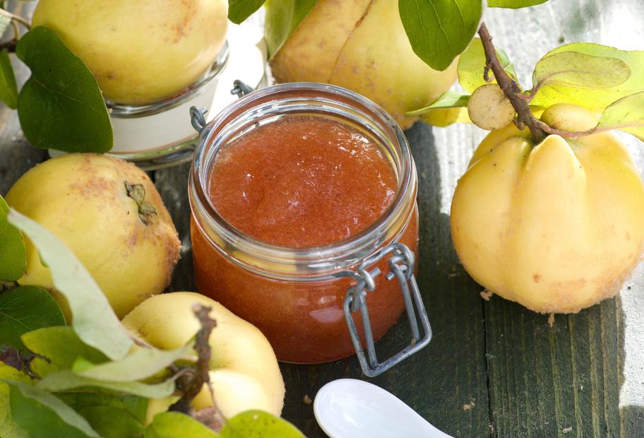 Feine Quittenmarmelade mit Vanille