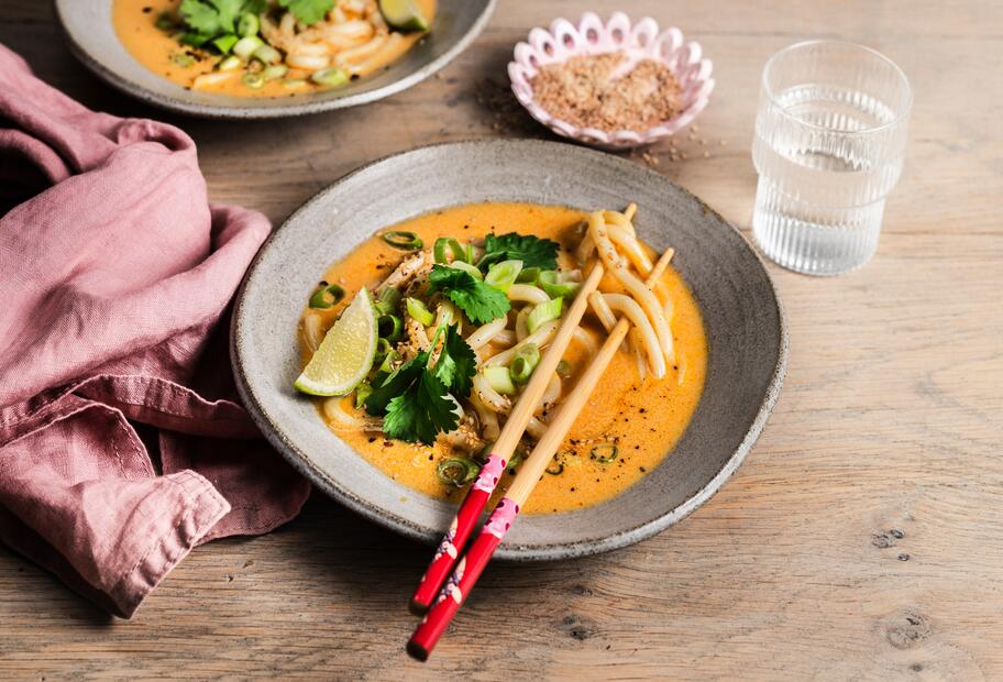 Einfacher Asia-Udon-Nudeltopf