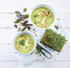 Zucchinisuppe in Schalen, daneben ein Kressebeet und Kräuter. Von oben fotografiert auf hellem Untergrund
