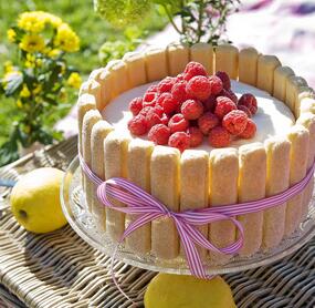 Cremig, fruchtig, köstlich: Himbeer-Zitronen-Torte
