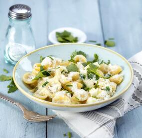 Käse-Kräuter-Orecchiette