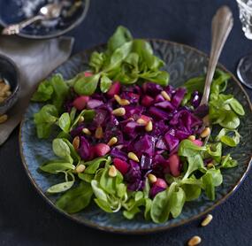 Rotkohlsalat auf einem Feldsalatbett