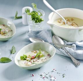 Frische Blumenkohlcremesuppe