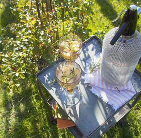 Nektarinen-Rosmarin-Bowle