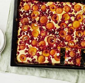 Aprikosen-Johannisbeer-Kuchen mit Quark