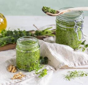 Wildkräuterpesto
