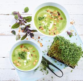 Sommerliche Zucchini-Sahnecremesuppe