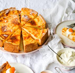 Fruchtig-cremiger Mandarinen-Schmand-Kuchen