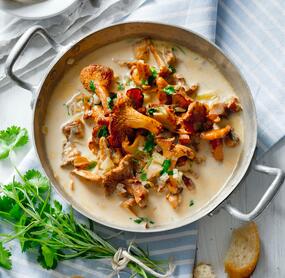 Geschmorte Pfifferlinge in Sahnesoße mit Petersilie