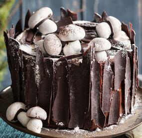 Torte mit feiner Schokoladenborke