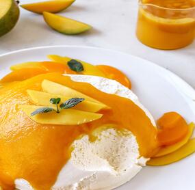 Vegane Kokos-Joghurtbombe