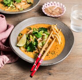 Einfacher Asia-Udon-Nudeltopf