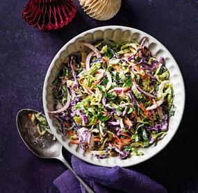 Rotkohl-Krautsalat mit Joghurtdressing