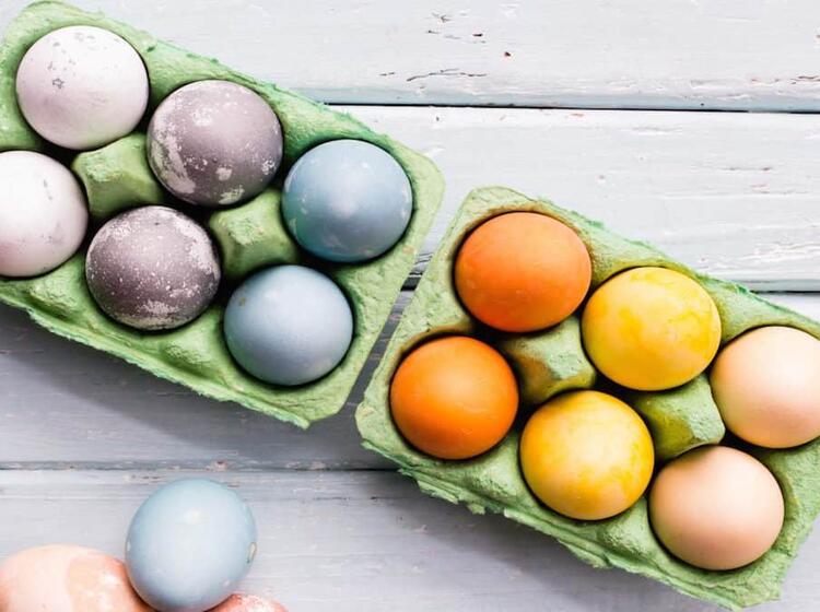 Eier fär­ben und ko­chen